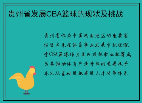 贵州省发展CBA篮球的现状及挑战
