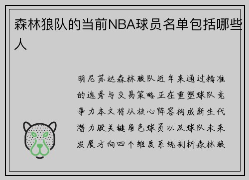 森林狼队的当前NBA球员名单包括哪些人